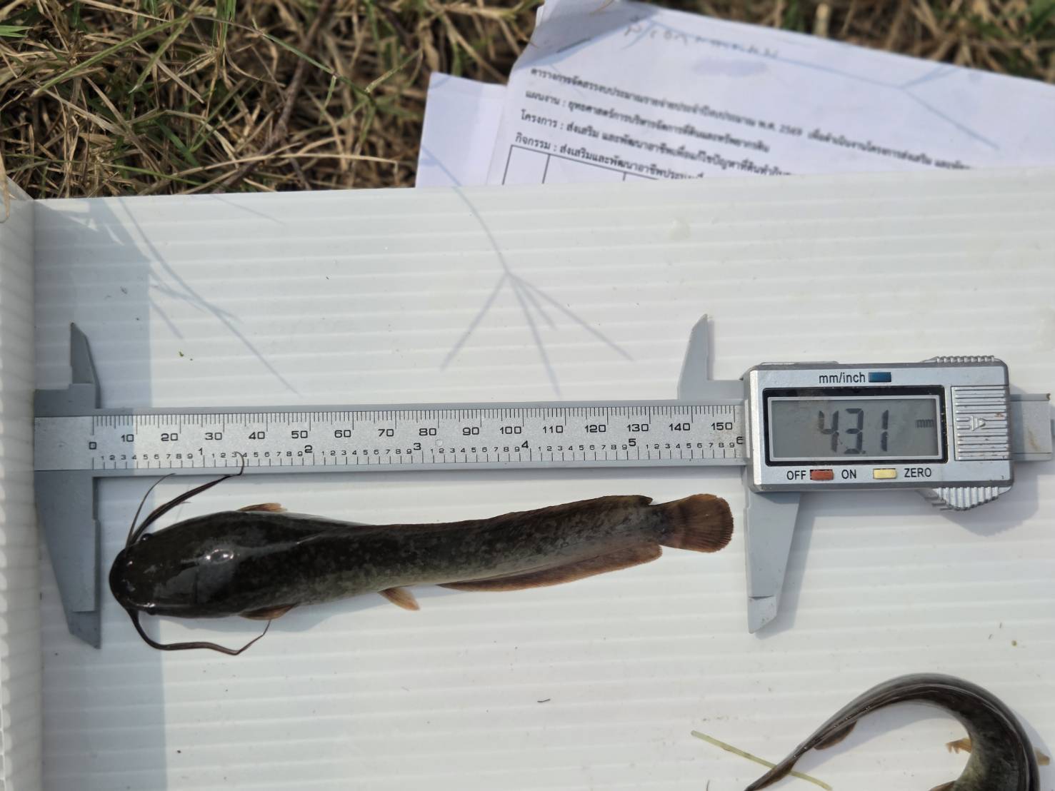 รูป ประกอบบทความ7