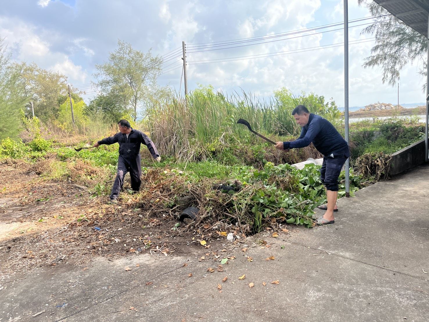 ดำเนินกิจกรรมปรับปรุงภูมิทัศน์บริเวณอาคารสำนักงาน..คลิก