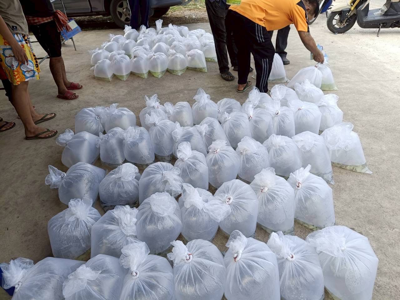 ลงพื้นที่ปฏิบัติงานโครงการศูนย์เรียนรู้การเพิ่มประสิทธิภาพการผลิตสินค้าเกษตร อำเภอดำเนินสะดวก