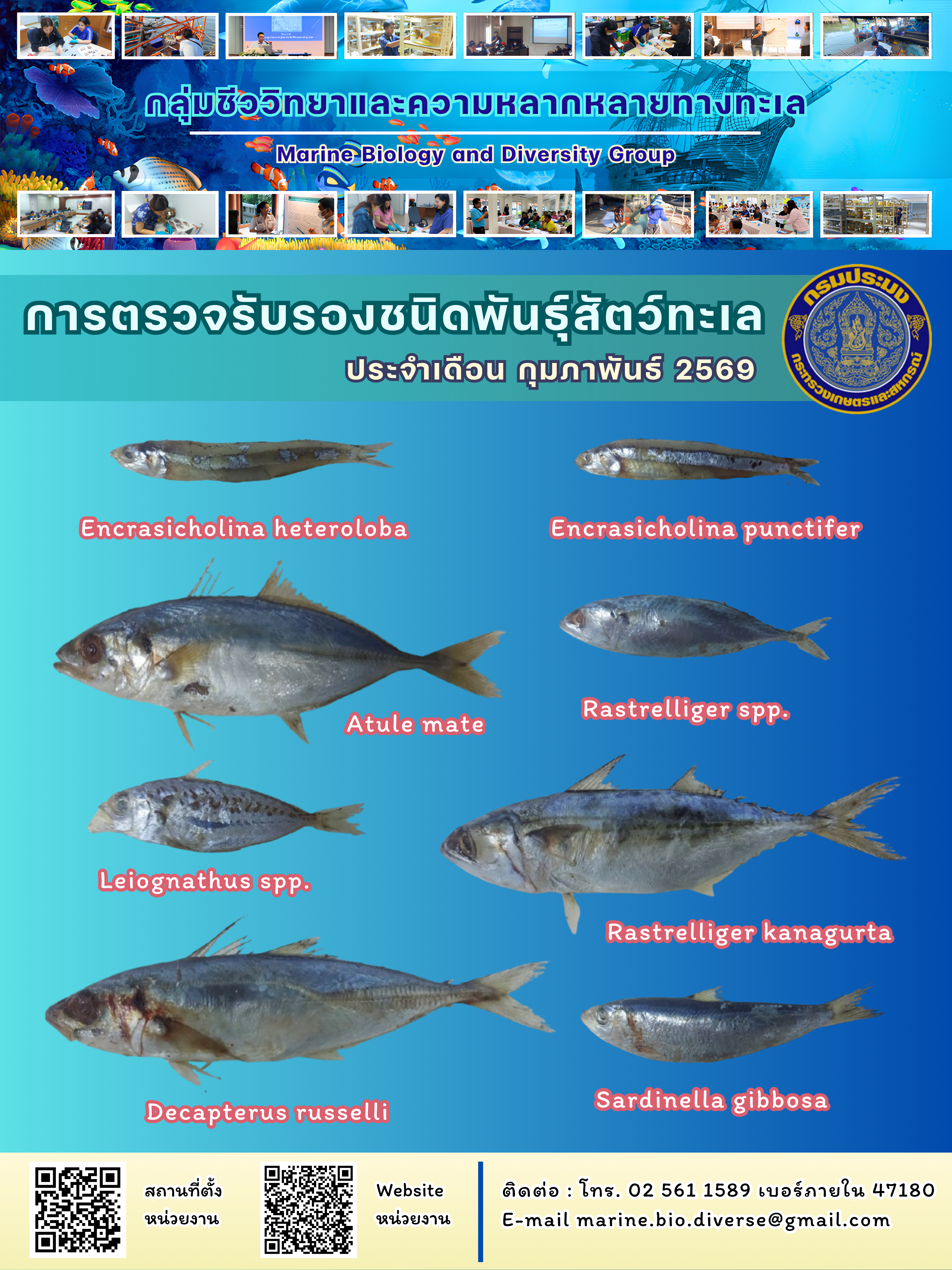 สรุปข้อมูลตรวจรับรองชนิดพันธุ์สัตว์ทะเล ประจำปี 2569 เดือนกุมภาพันธ์