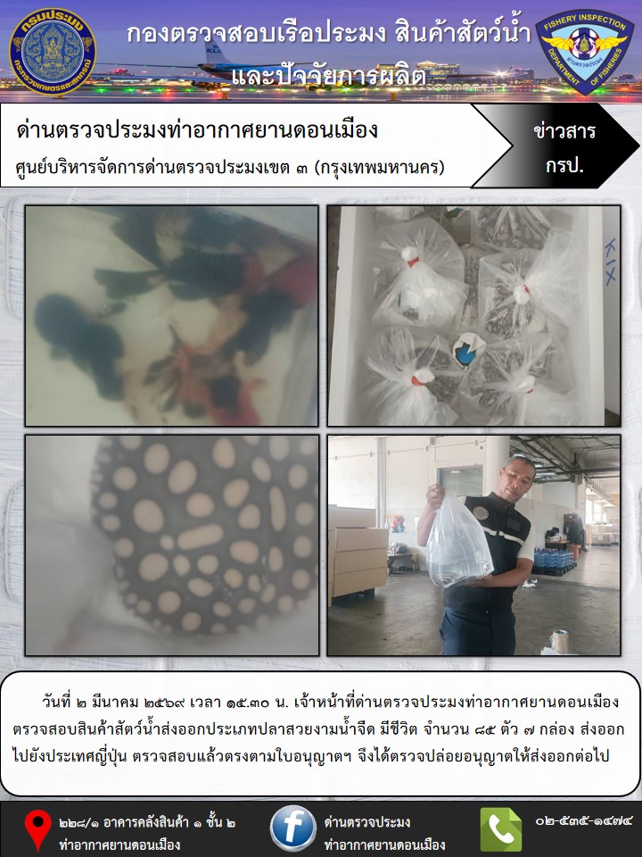 ตรวจสอบสินค้าสัตว์น้ำส่งออก