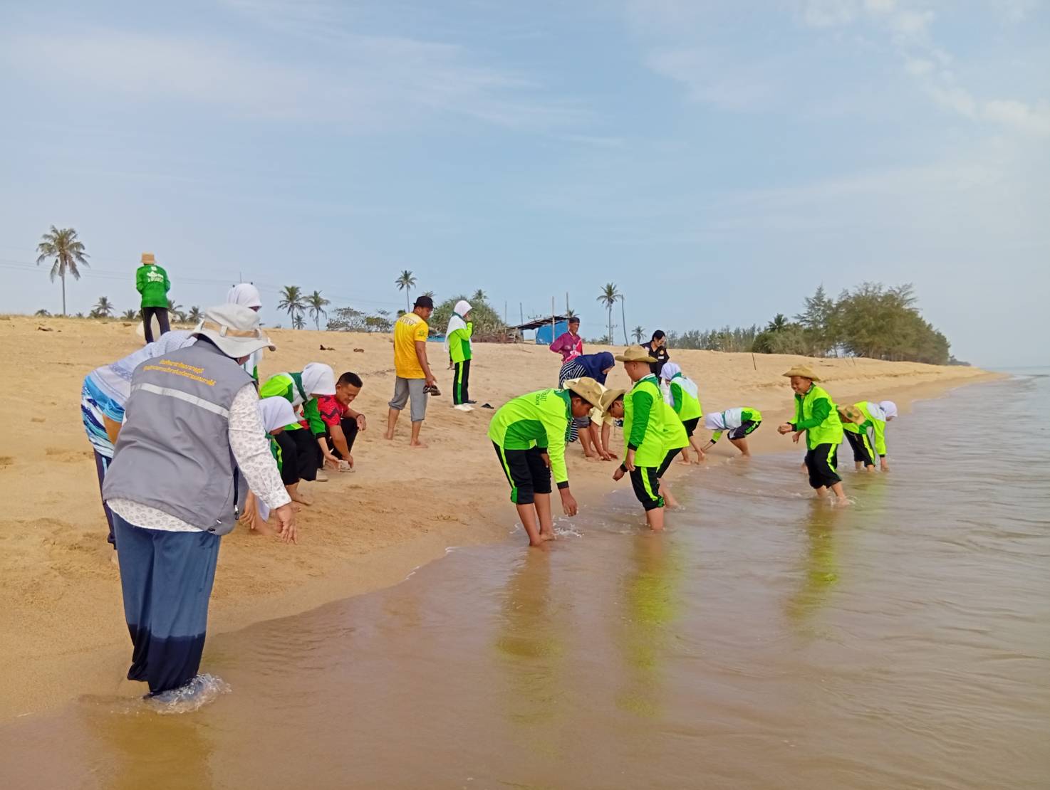 กิจกรรมปล่อยพันธุ์กุ้งแชบ๊วย จำนวน 2,000,000 ตัว  บริเวณหาดท่าสู ต.บ้านน้ำบ่อ อ.ปานาเระ จ.ปัตตานี