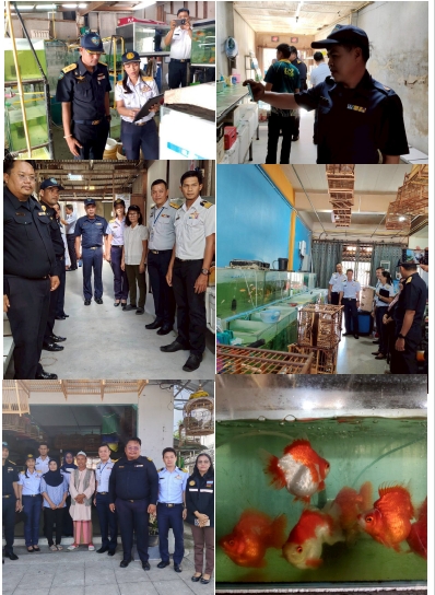 วันพุธที่ 4 มีนาคม พ.ศ.  เวลา 