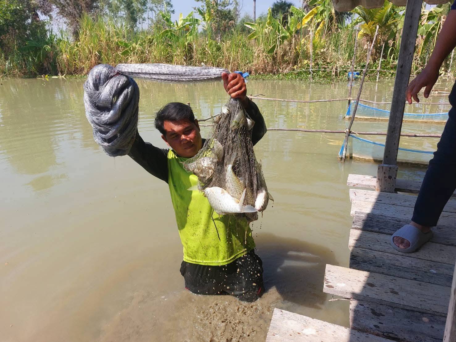 ข่าวประชาสัมพันธ์ประจำวันที่ 10-13 กุมภาพันธ์ 2569 ศูนย์วิจัยและพัฒนาการเพาะเลี้ยงสัตว์น้ำจืดศรีสะเกษ ฉบับที่ 30