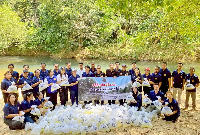 ร่วมปล่อยพันธุ์กุ้งก้ามกราม ลงสู่คลองวงก์ อ.ศรีนครินทร์ จ.พัทลุง..คลิก