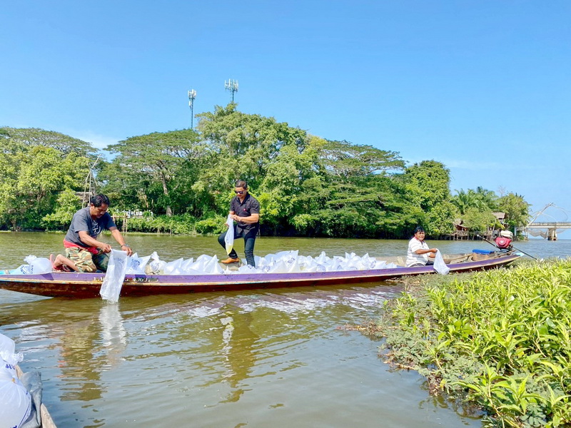 ร่วมปล่อยพันธุ์กุ้งก้ามกราม ลงสู่คลองปากประ อ.เมือง จ.พัทลุง..คลิก