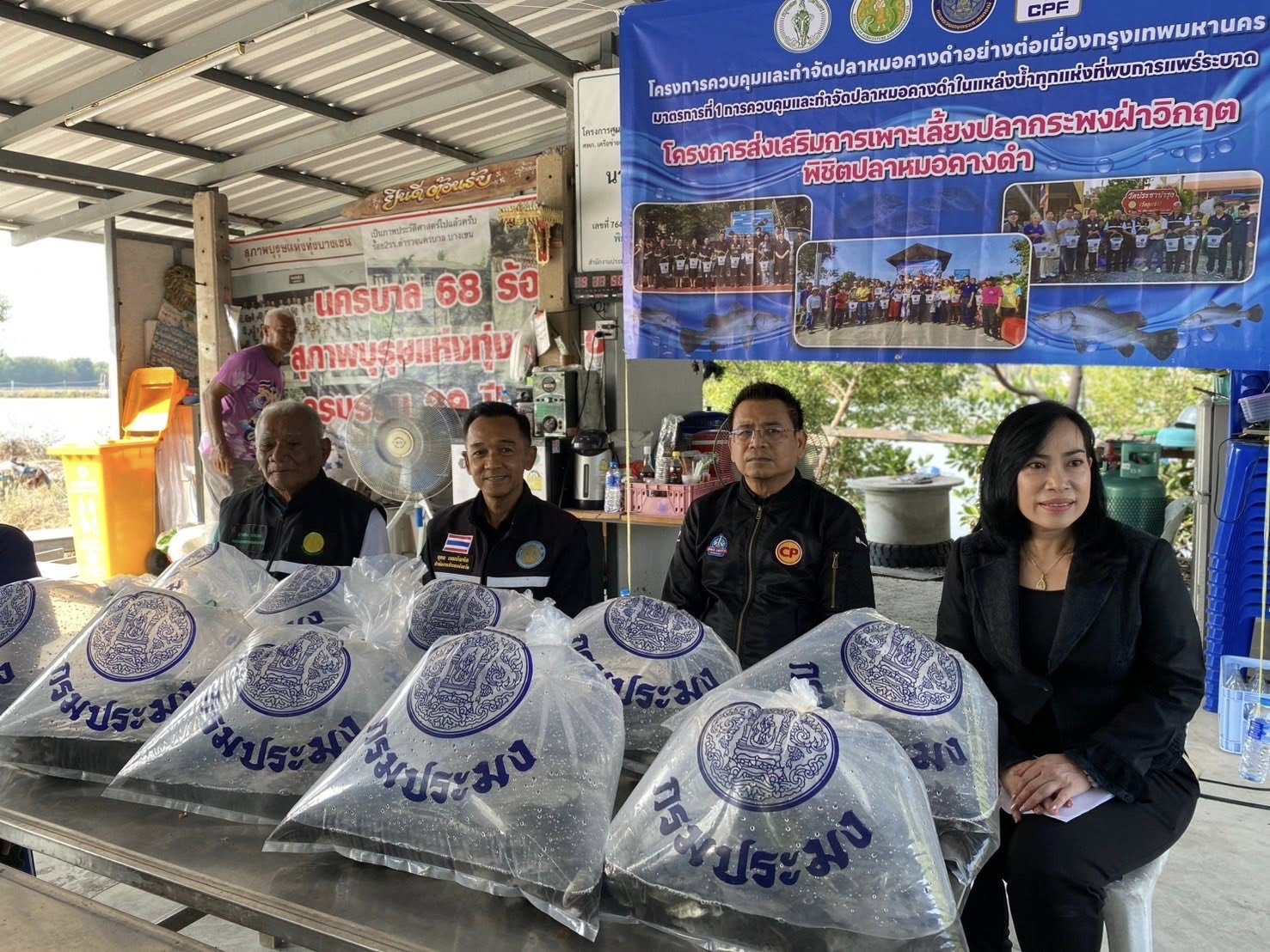 สำนักงานประมงพื้นที่กรุงเทพมหานคร ลงพื้นที่ร่วมจัดกิจกรรมส่งเสริมการเลี้ยงปลากะพงฝ่าวิกฤตพิชิตปลาหมอคางดำ ณ แขวงท่าข้าม เขตบางขุนเทียน กรุงเทพมหานคร