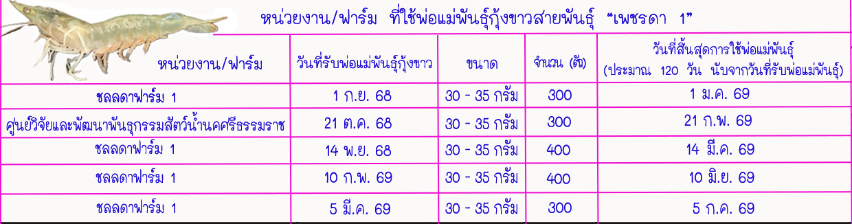 หน่วยงานฟาร์ม ที่ใช้พ่อแม่พันธุ์กุ้งขาวสายพันธุ์เพชรดา 1