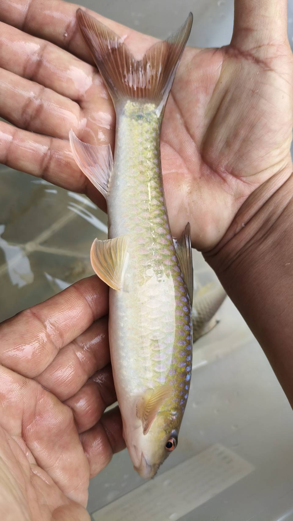 รูป ประกอบบทความ4