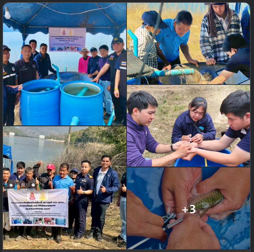 รูป ประกอบบทความ1