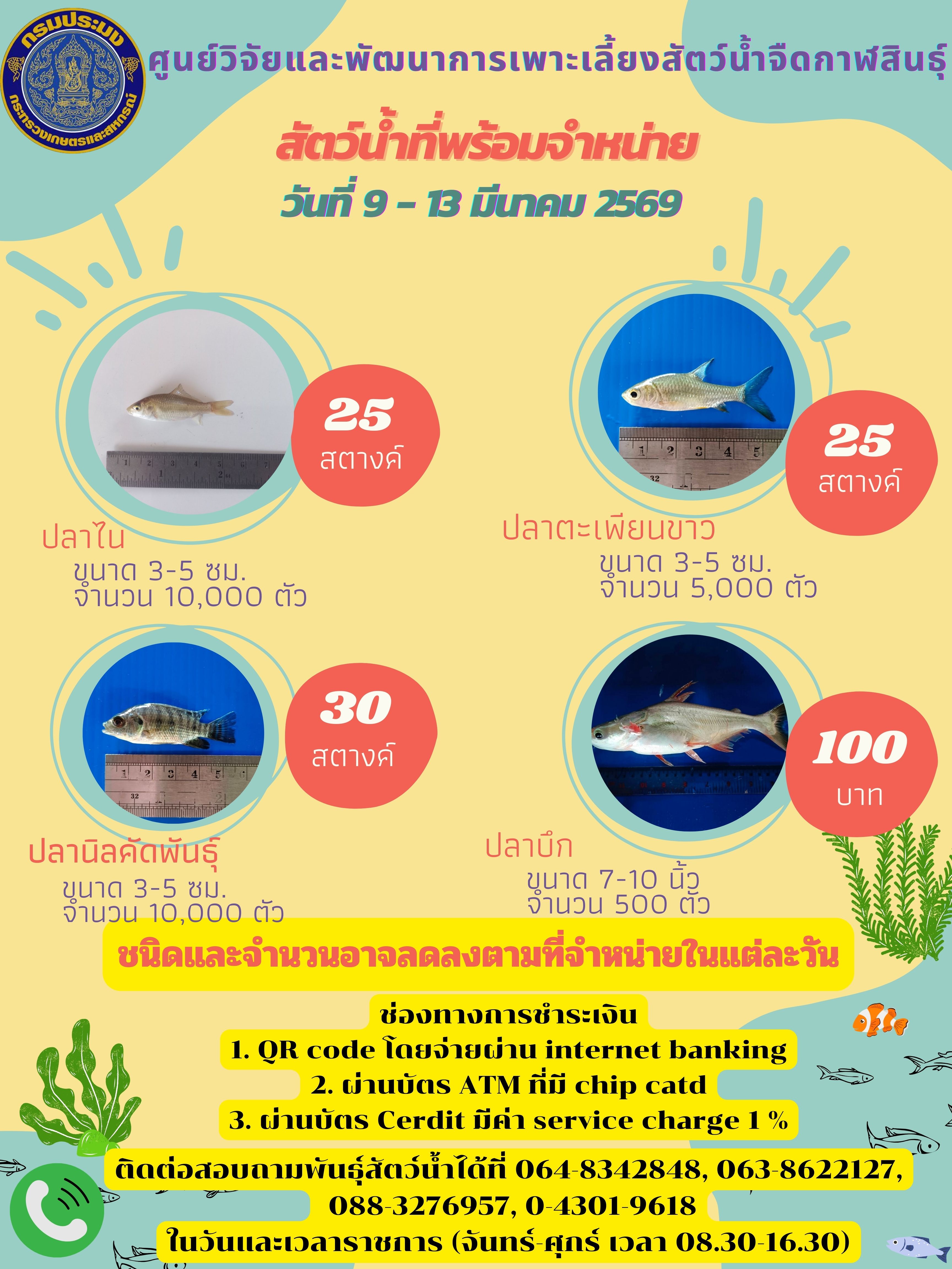 สัตว์น้ำที่พร้อมจำหน่าย