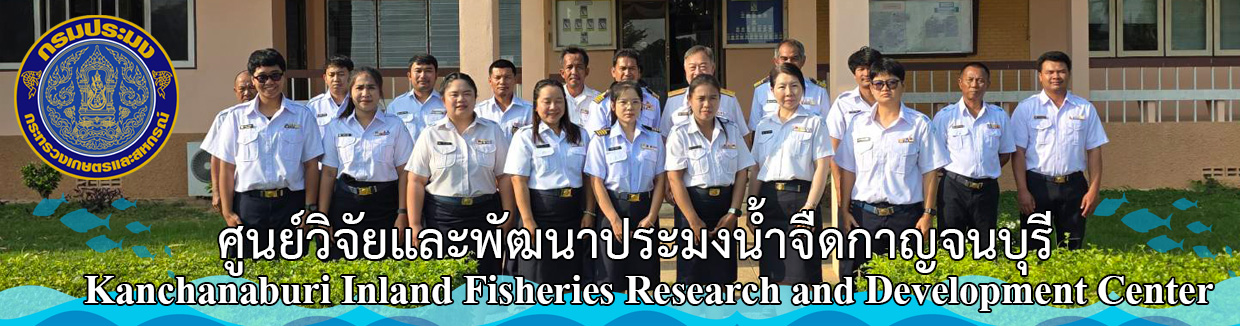 แบนเนอร์5