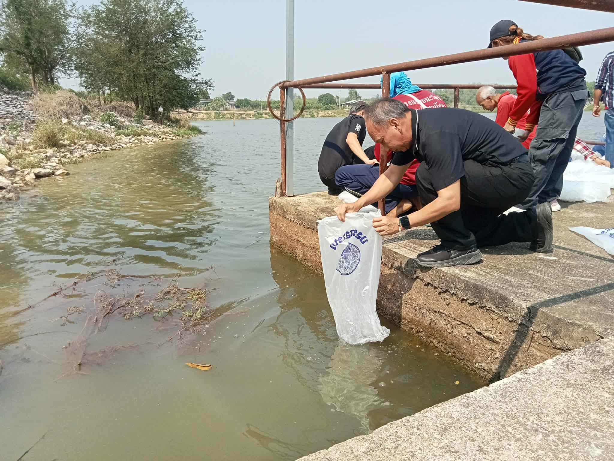 รูป ประกอบบทความ7