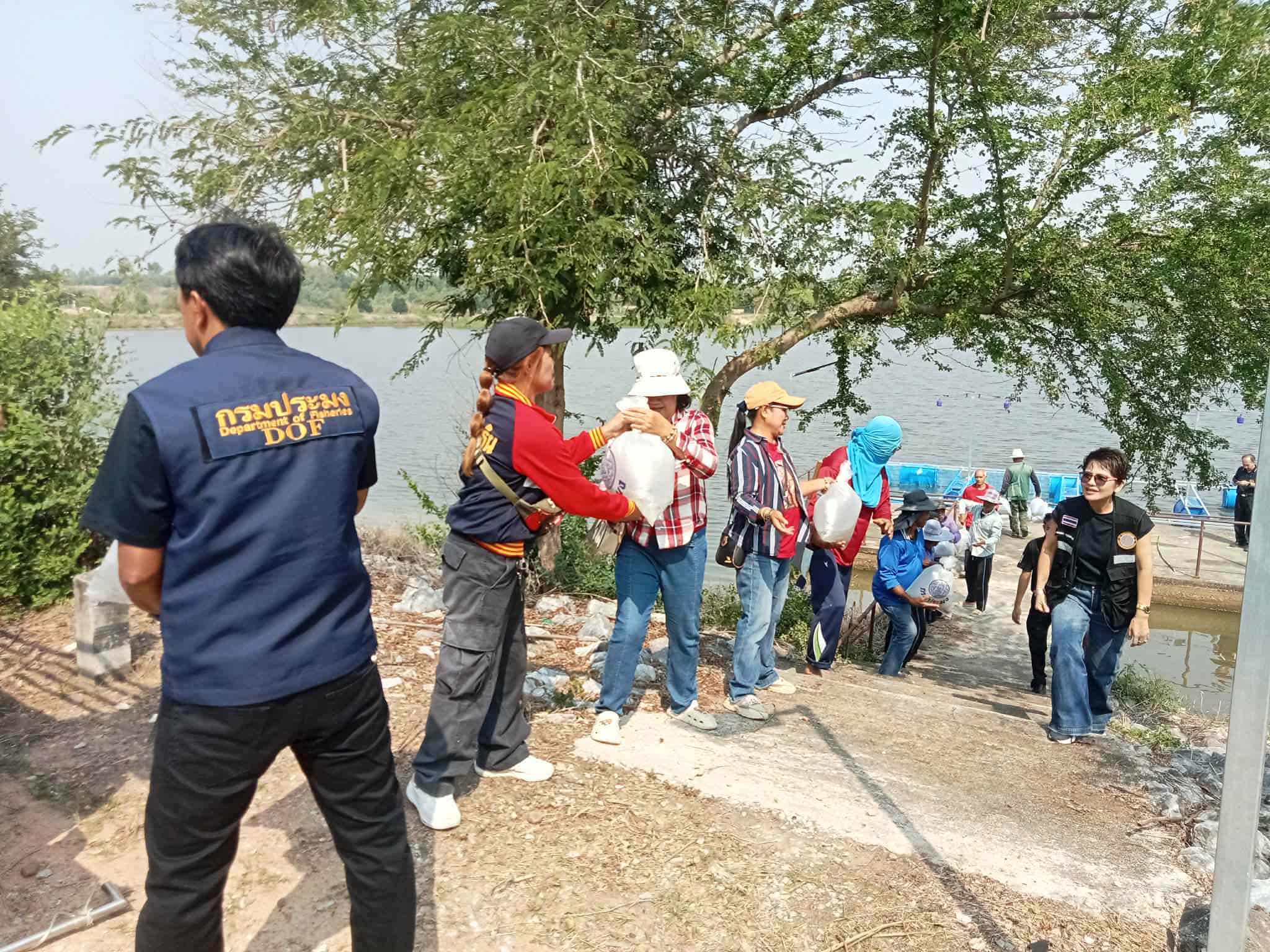 รูป ประกอบบทความ4