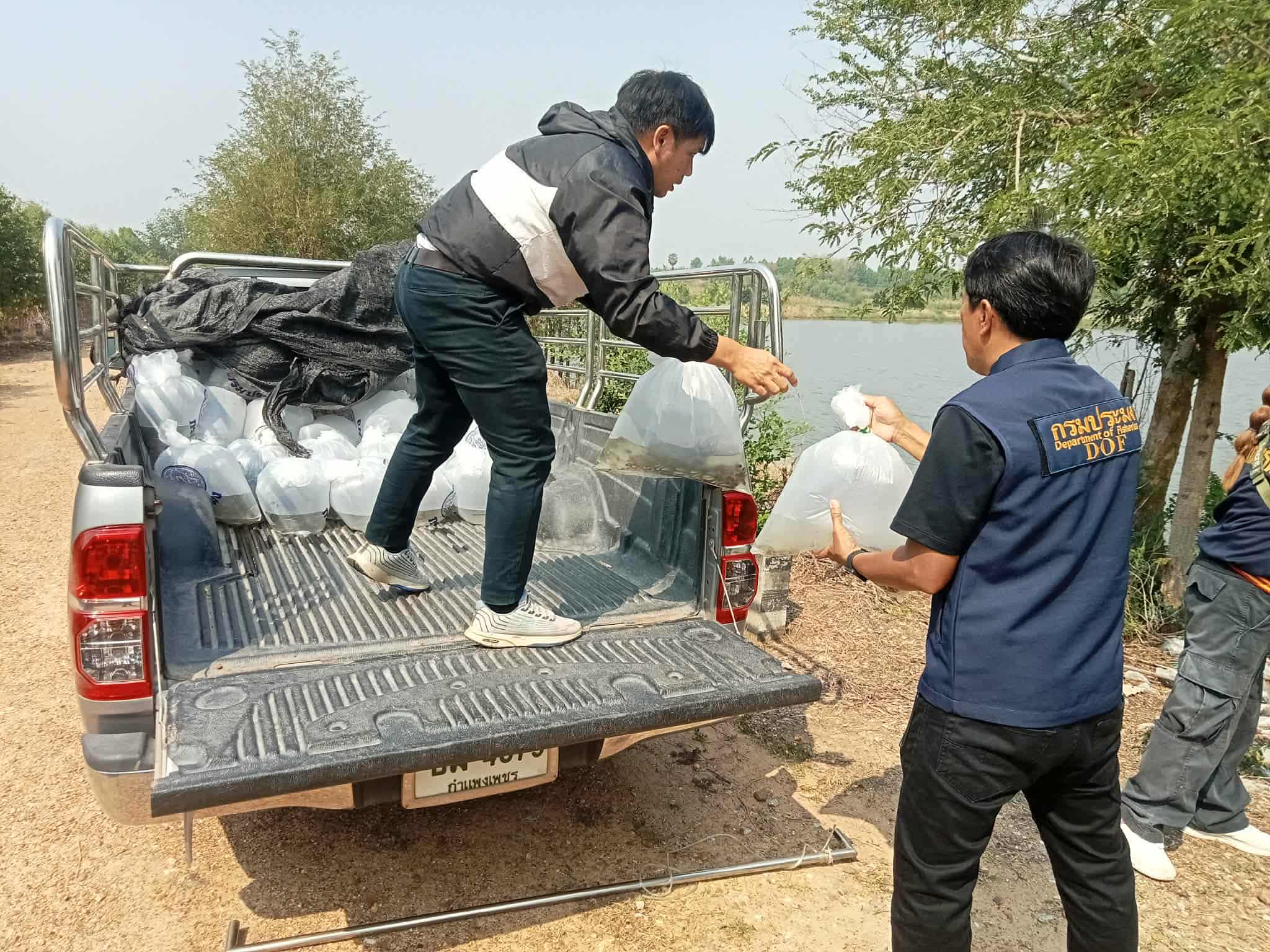 รูป ประกอบบทความ3