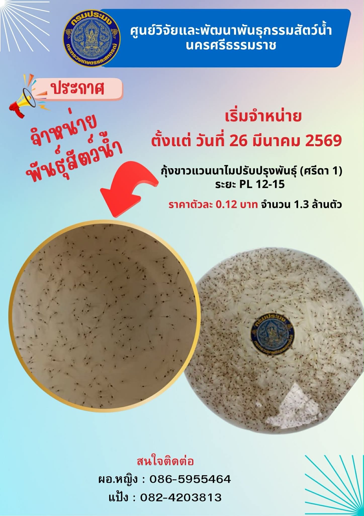 ศูนย์วิจัยและพัฒนาพันธุกรรมสัตว์น้ำนครศรีธรรมราช   จำหน่ายพันธุ์สัตว์น้ำ