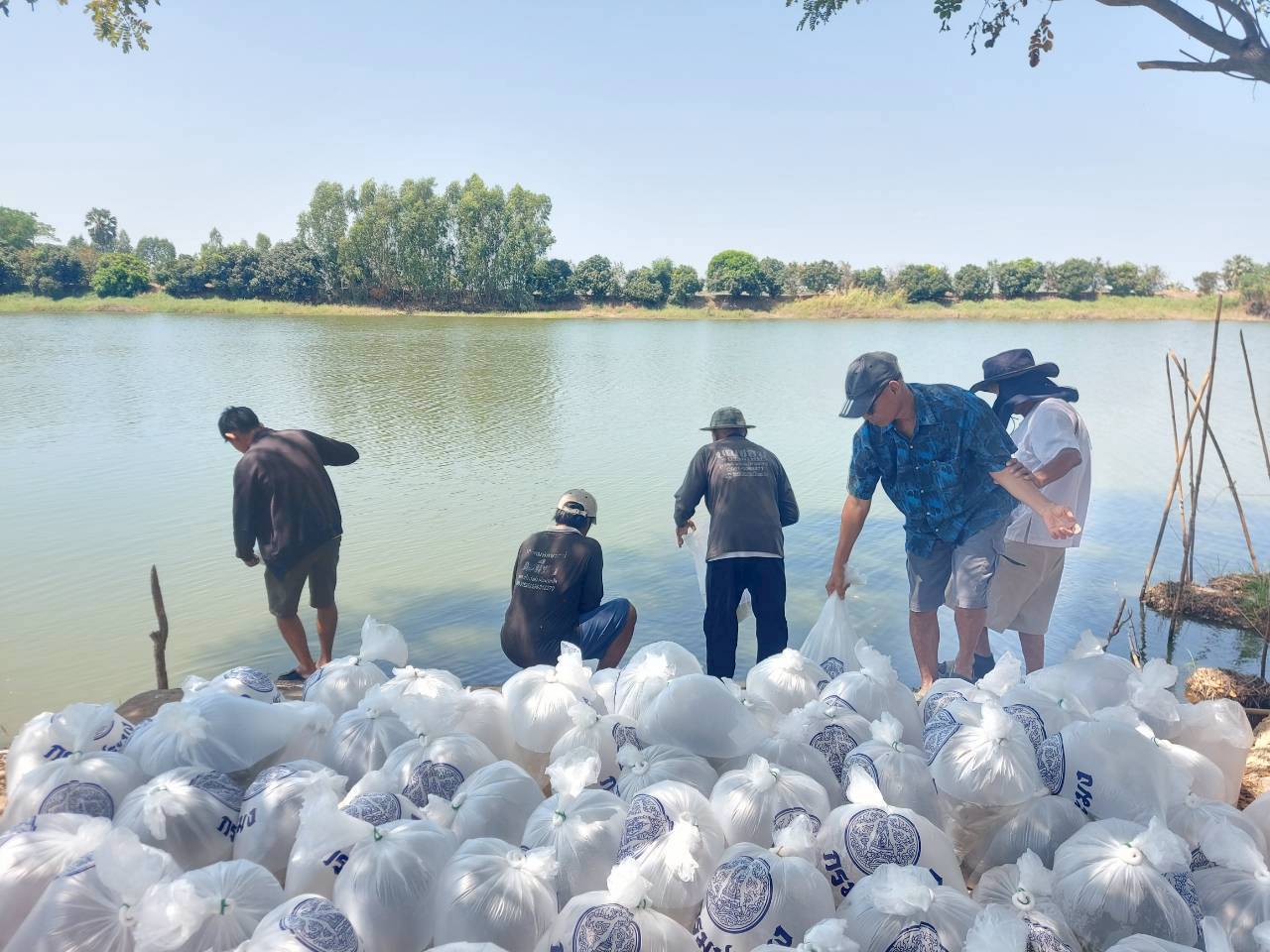 ศปจ.นครสวรรค์ ดำเนินการปล่อยพันธุ์สัตว์น้ำโครงการบริหารจัดการทรัพยากรประมง กิจกรรมบริหารจัดการทรัพยากรประมงน้ำจืด การเพิ่มผลผลิตสัตว์น้ำในแหล่งน้ำชุมชนเพื่อเพิ่มรายได้และลดค่าครองชีพของประชาชน ปีงบประมาณ 2569..คลิก