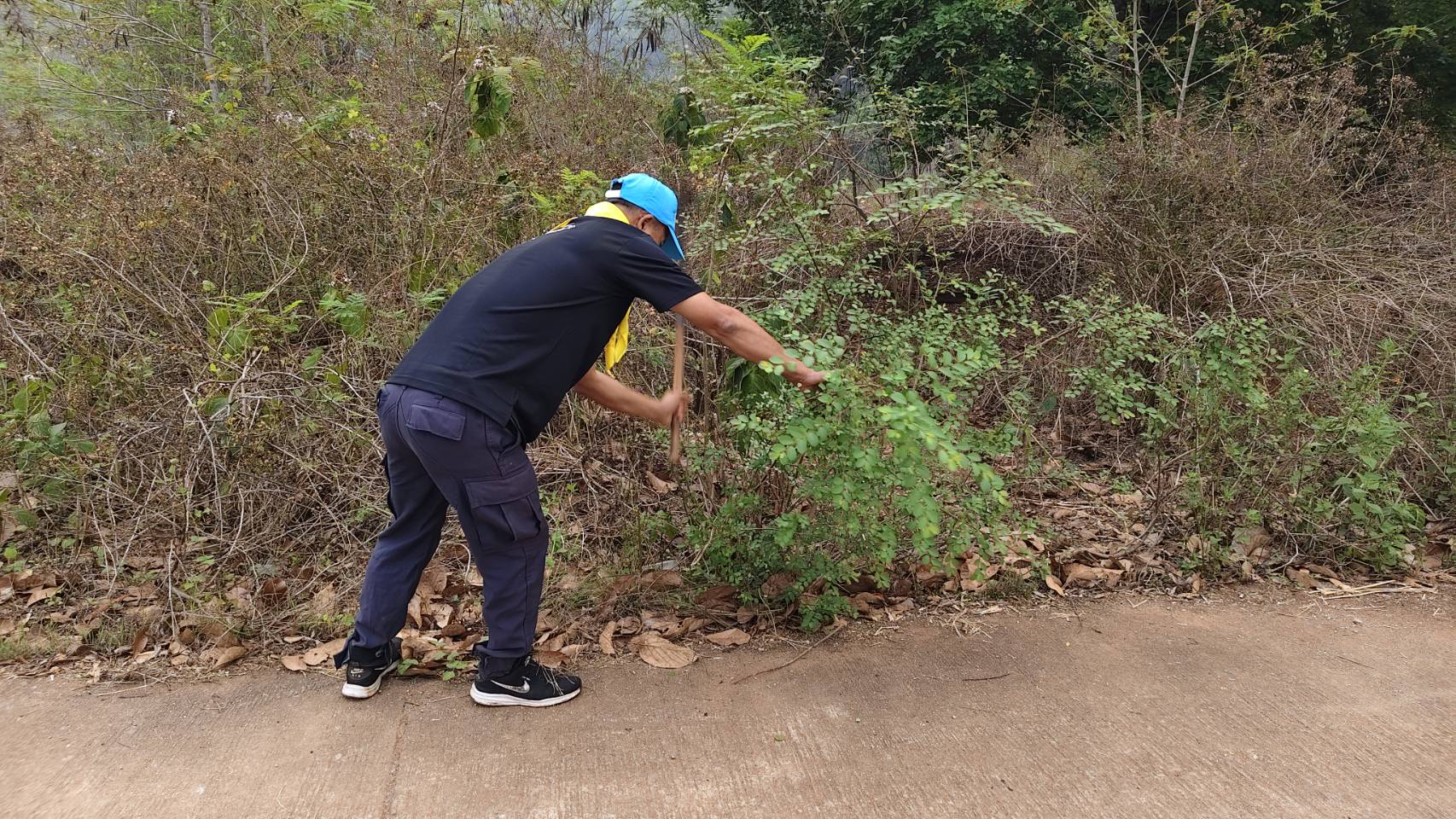 กิจกรรมจิตอาสาพระราชทาน 