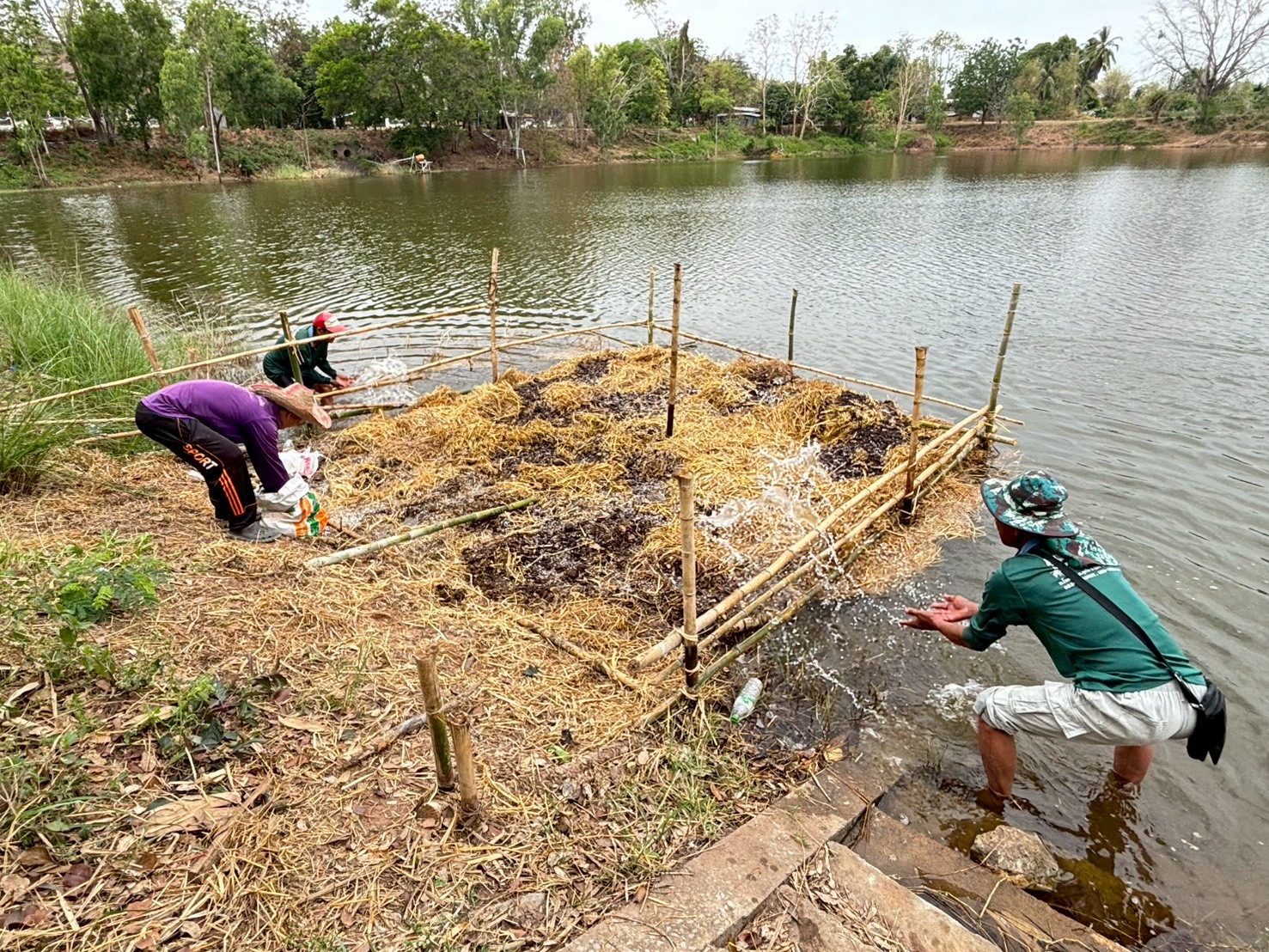 ดำเนินการส่งมอบวัสดุการเกษตรและร่วมดำเนินการสร้างอาหารธรรมชาติ (รอบที่ 2) ภายใต้โครงการบริหารจัดการทรัพยากรประมง กิจกรรมการเพิ่มผลผลิตสัตว์น้ำในแหล่งน้ำชุมชน เพื่อเพิ่มรายได้และลดค่าครองชีพของประชาชน ประจำปีงบประมาณ พ.ศ. 2569..คลิก