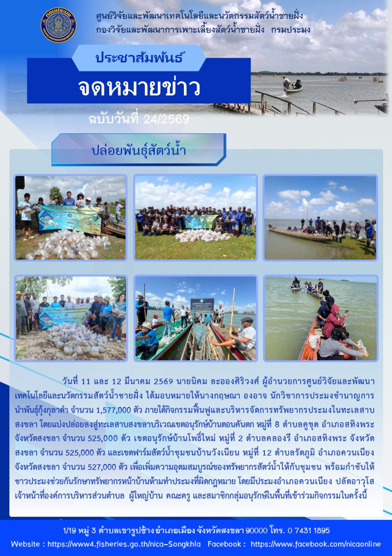 ปล่อยพันธุ์สัตว์น้ำ กุ้งกุลาดำ..คลิก