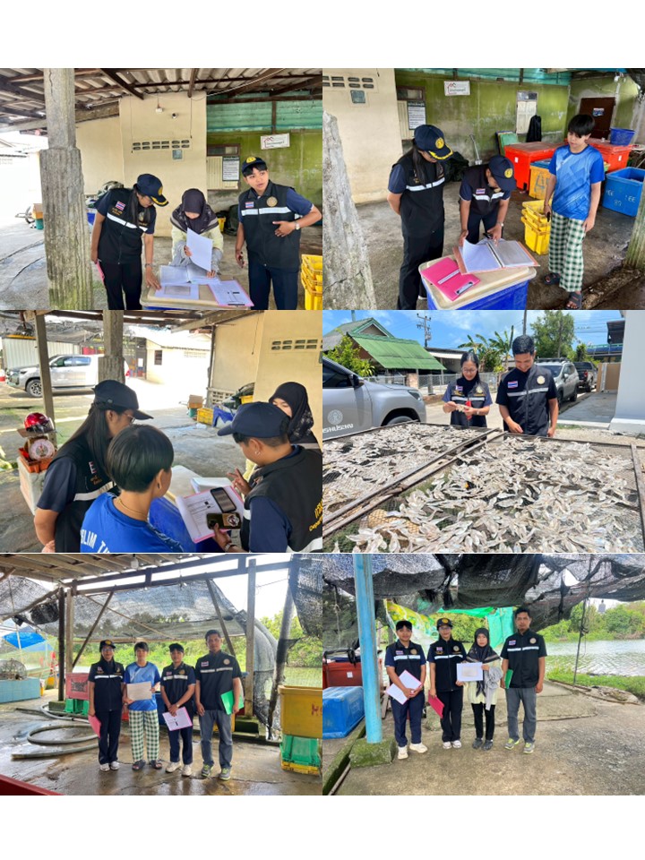 วันที่ 12 มีนาคม 2569 นางเสาวนีย์ สาลีโท หัวหน้าด่านตรวจประมงปัตตานี พร้อมด้วยนางสาวกรณิศ หน่อทอง นักวิชาการประมงปฏิบัติการ และว่าที่ร้อยตรีมูฮัมมัดอาลี สะดอ เจ้าหน้าที่สุ่มตรวจสัตว์น้ำ ณ ท่าเทียบเรือ ดำเนินการตรวจประเมินการจัดทำรายงานของท่าเทียบเรือประมง