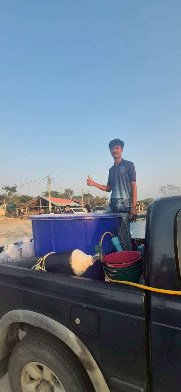 สนับสนุนลูกพันธุ์สัตว์น้ำ ตลอดจนร่วมปล่อยพันธุ์สัตว์น้ำ (กุ้งกุลาดำ)