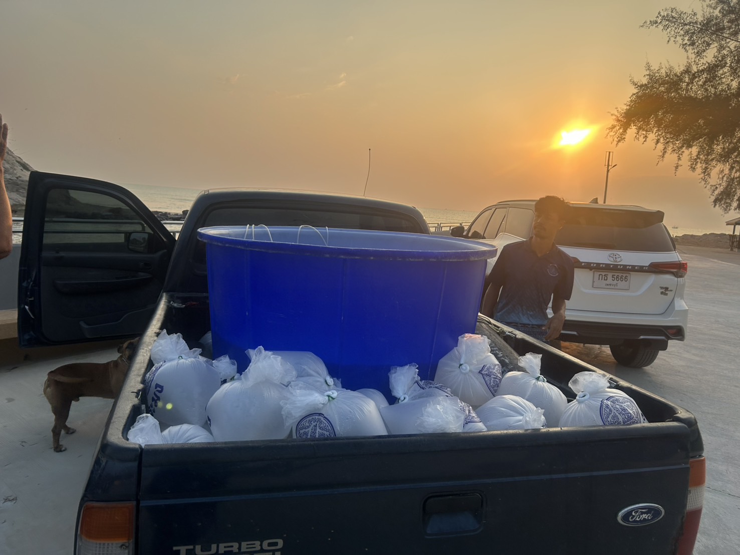 สนับสนุนลูกพันธุ์สัตว์น้ำ ตลอดจนร่วมปล่อยพันธุ์สัตว์น้ำ (กุ้งกุลาดำ)