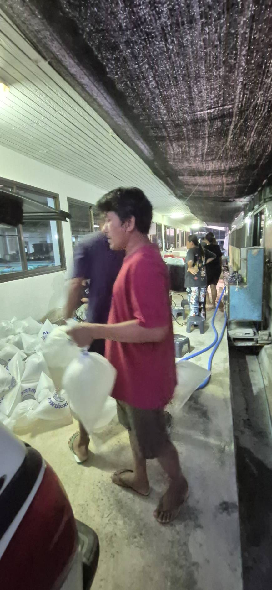 สนับสนุนลูกพันธุ์สัตว์น้ำ ตลอดจนร่วมปล่อยพันธุ์สัตว์น้ำ (กุ้งกุลาดำ)