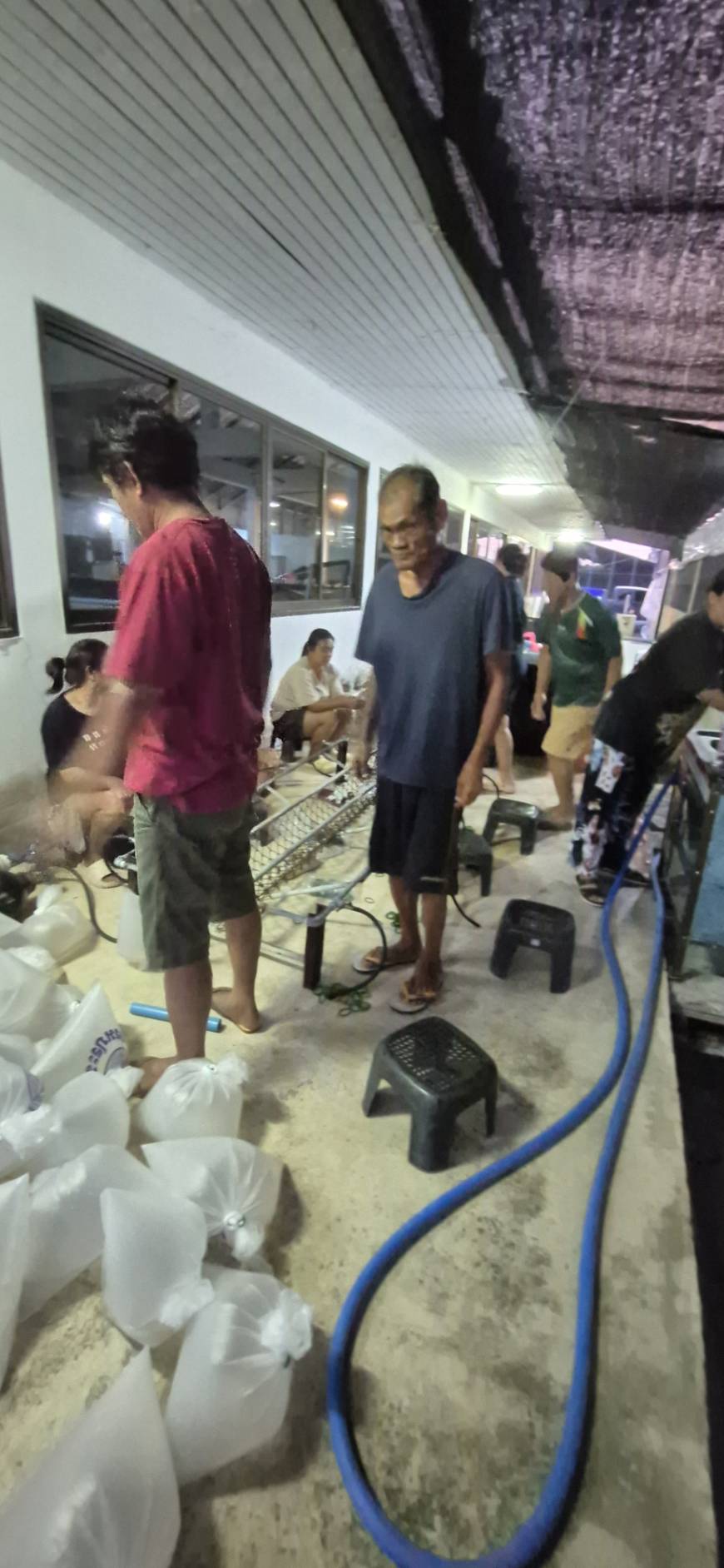 สนับสนุนลูกพันธุ์สัตว์น้ำ ตลอดจนร่วมปล่อยพันธุ์สัตว์น้ำ (กุ้งกุลาดำ)