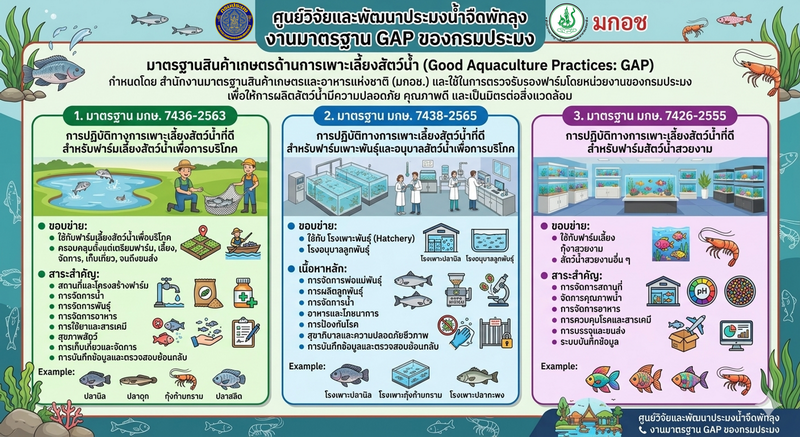 งานมาตรฐาน GAP