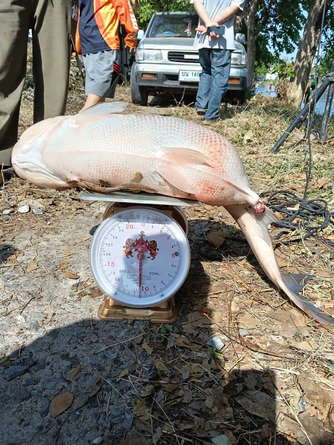 ติดตามการดำเนินกิจกรรมเปิดบ่อจับปลา (เพื่อเตรียมปล่อยพันธุ์สัตว์น้ำ) แหล่งน้ำบึงผลาญชัย บ้านโนนม่วง หมู่ 15 ตำบลโนนม่วง อำเภอนากลาง จังหวัดหนองบัวลำภู