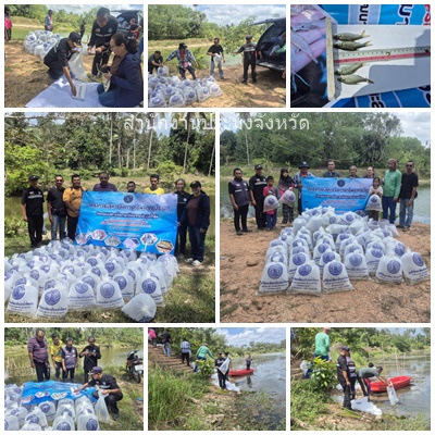 ผลการปฏิบัติงานประจำวันศุกร์ที่ 13 มีนาคม 2569..คลิก