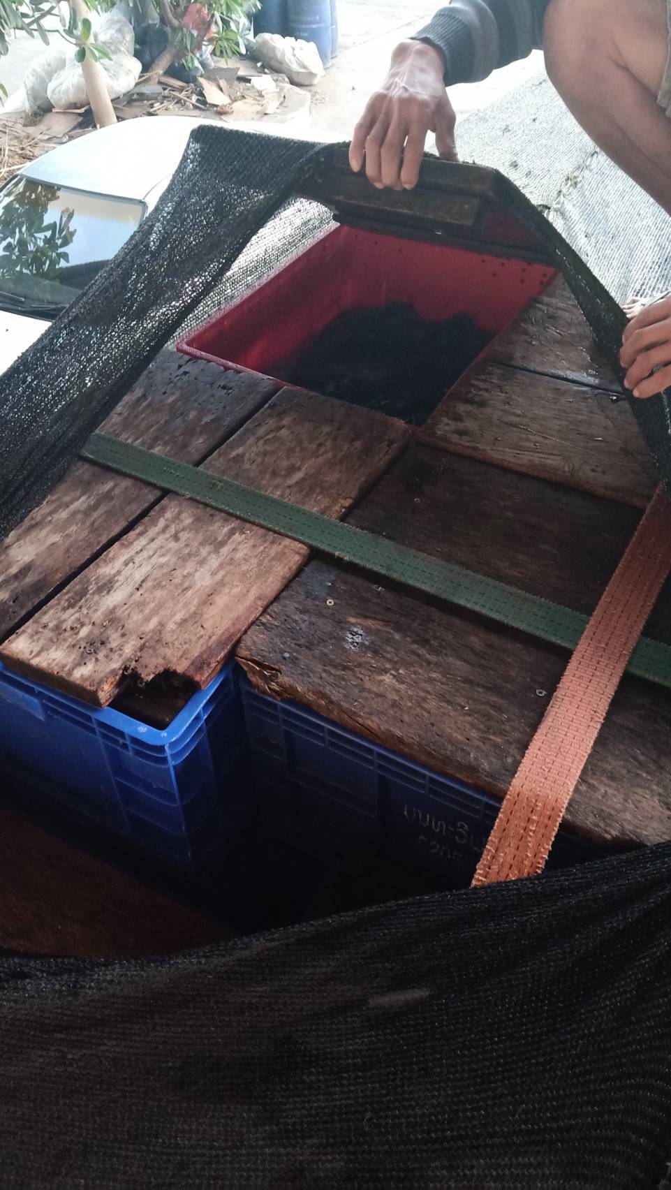 ข่าวกิจกรรม วันที่ 16 มีนาคม 2569 เจ้าหน้าที่ด่านตรวจประมงนครพนม ตรวจสอบสินค้าสัตว์น้ำส่งออกชนิด ปลาดุกแอฟริกา มีชีวิต ณ อาคารตรวจสอบสินค้าและเก็บของกลางด่านศุลกากรนครพนม จ.นครพนม..คลิก