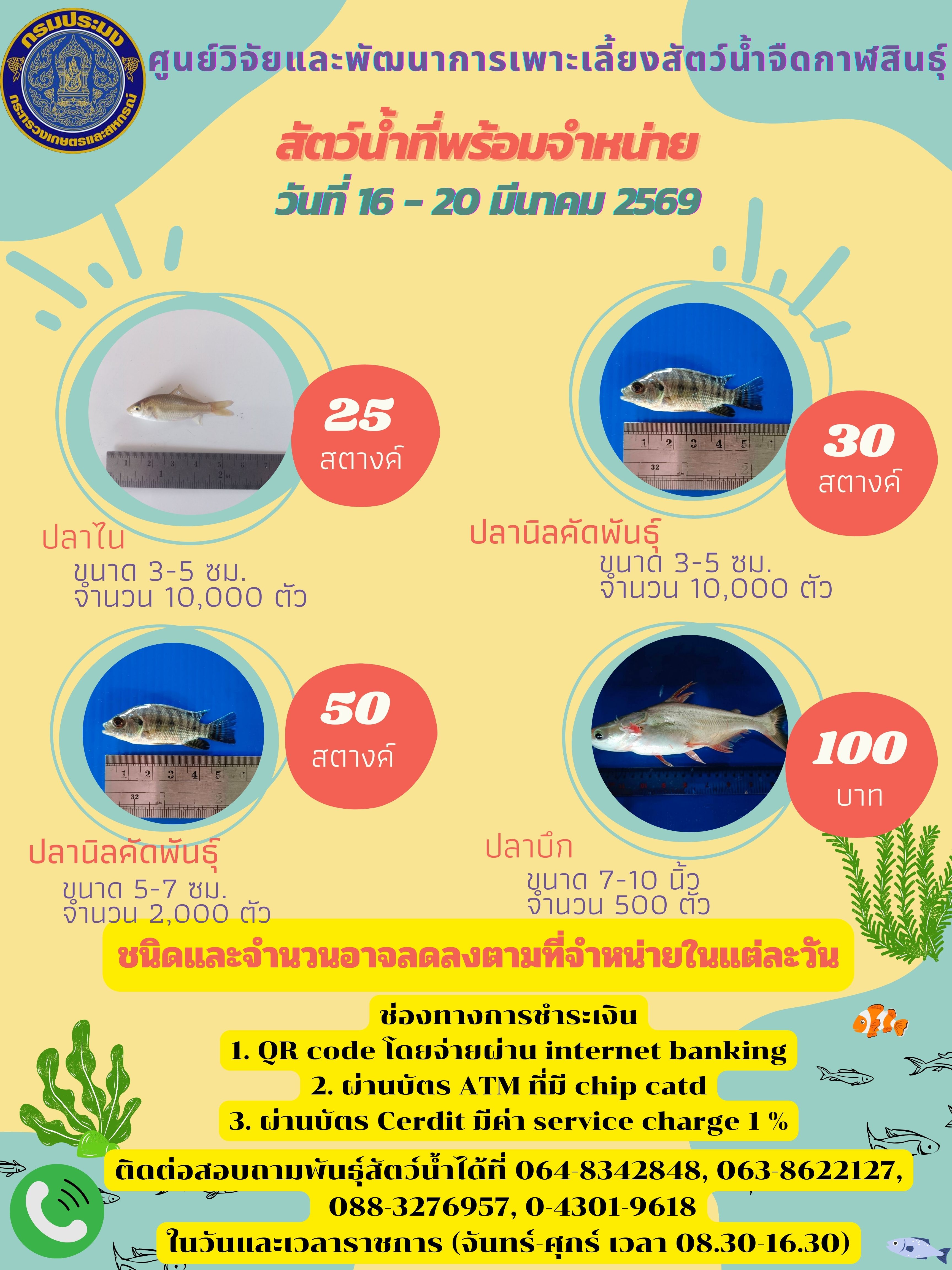 สัตว์น้ำที่พร้อมจำหน่าย