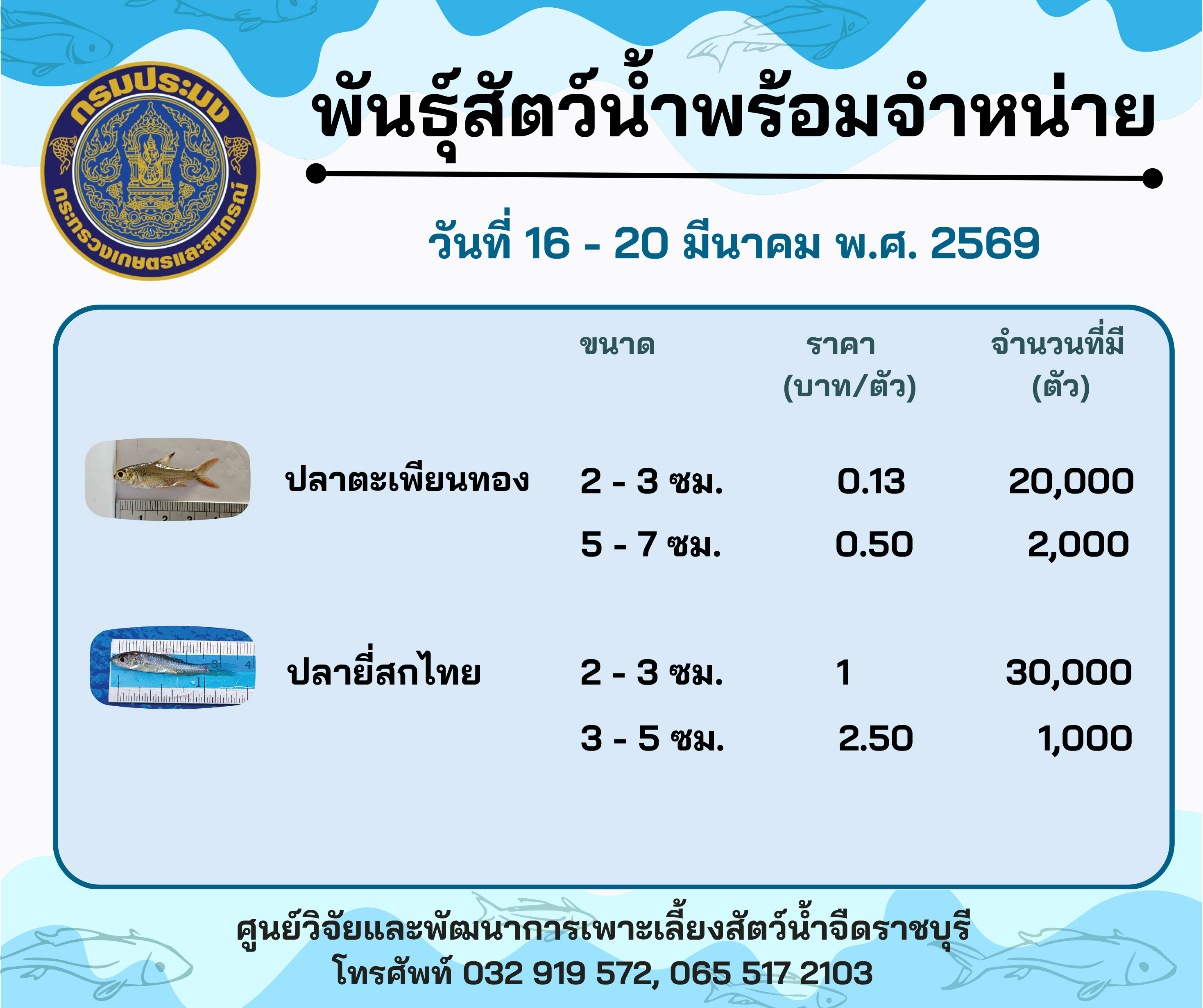 ลูกพันธุ์สัตว์น้ำพร้อมจำหน่ายสัปดาห์นี้ วันที่ 16 - 20 มีนาคม พ.ศ. 2569..คลิก