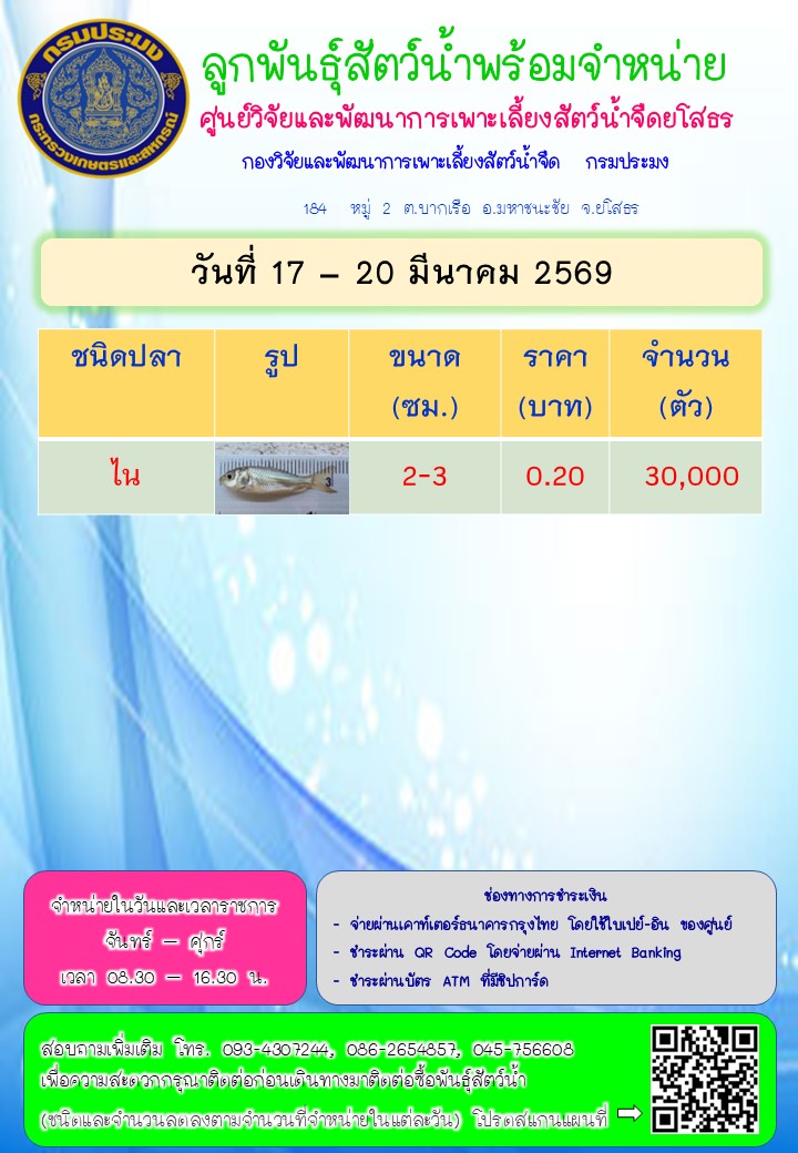 ลูกพันธุ์สัตว์น้ำพร้อมจำหน่าย 17 - 20 มี.ค. 2569..คลิก