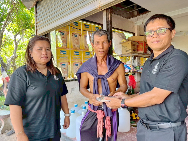 รับแจ้งการระบาดของปลาหมอคางดำ ในพื้นที่อำเภอควนขนุน จังหวัดพัทลุง..คลิก