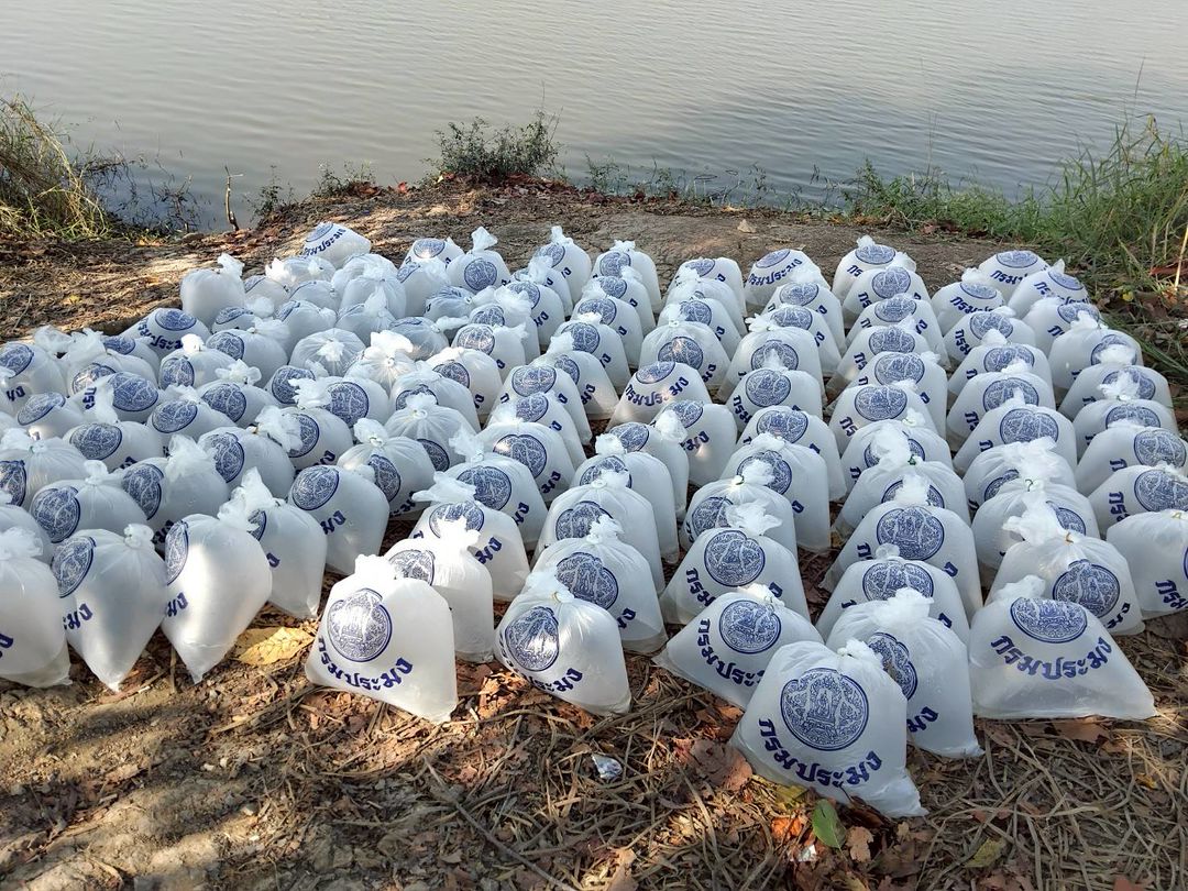 ประมงอำเภอเมืองนครสวรรค์ ร่วมกับคณะกรรมการแหล่งน้ำปล่อยพันธุ์ปลาตะเพียนขาว จำนวน 66,600 ตัว ตามโครงการบริหารจัดการทรัพยากรประมง..คลิก