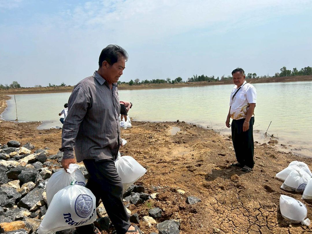 ประมงอำเภอหนองบัว ร่วมกับศูนย์วิจัยและพัฒนาประมงน้ำจืดนครสวรรค์ ดำเนินการมอบพันธุ์ปลาตะเพียนขาว จำนวน 66,600 ตัว