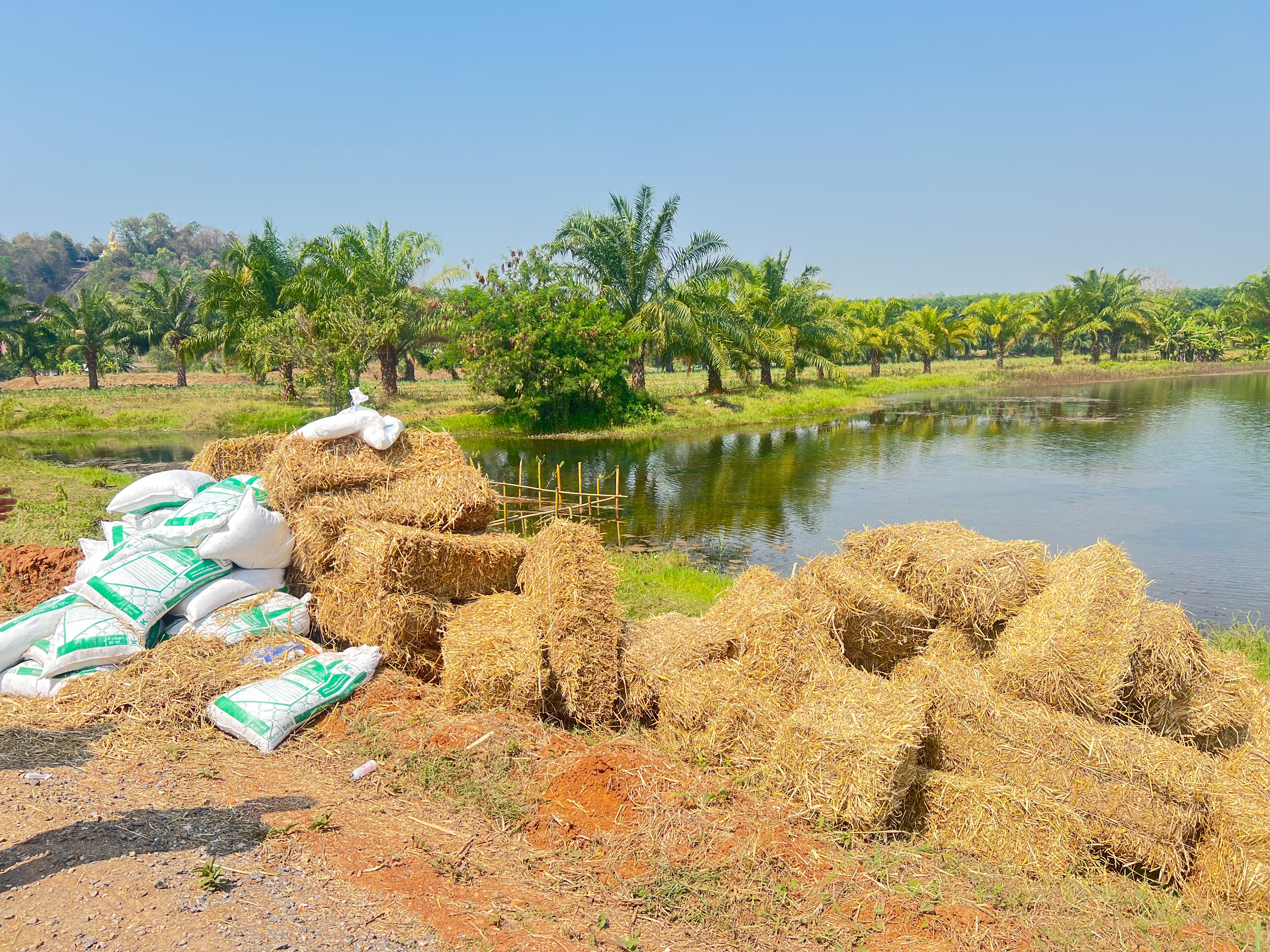 รูป ประกอบบทความ6