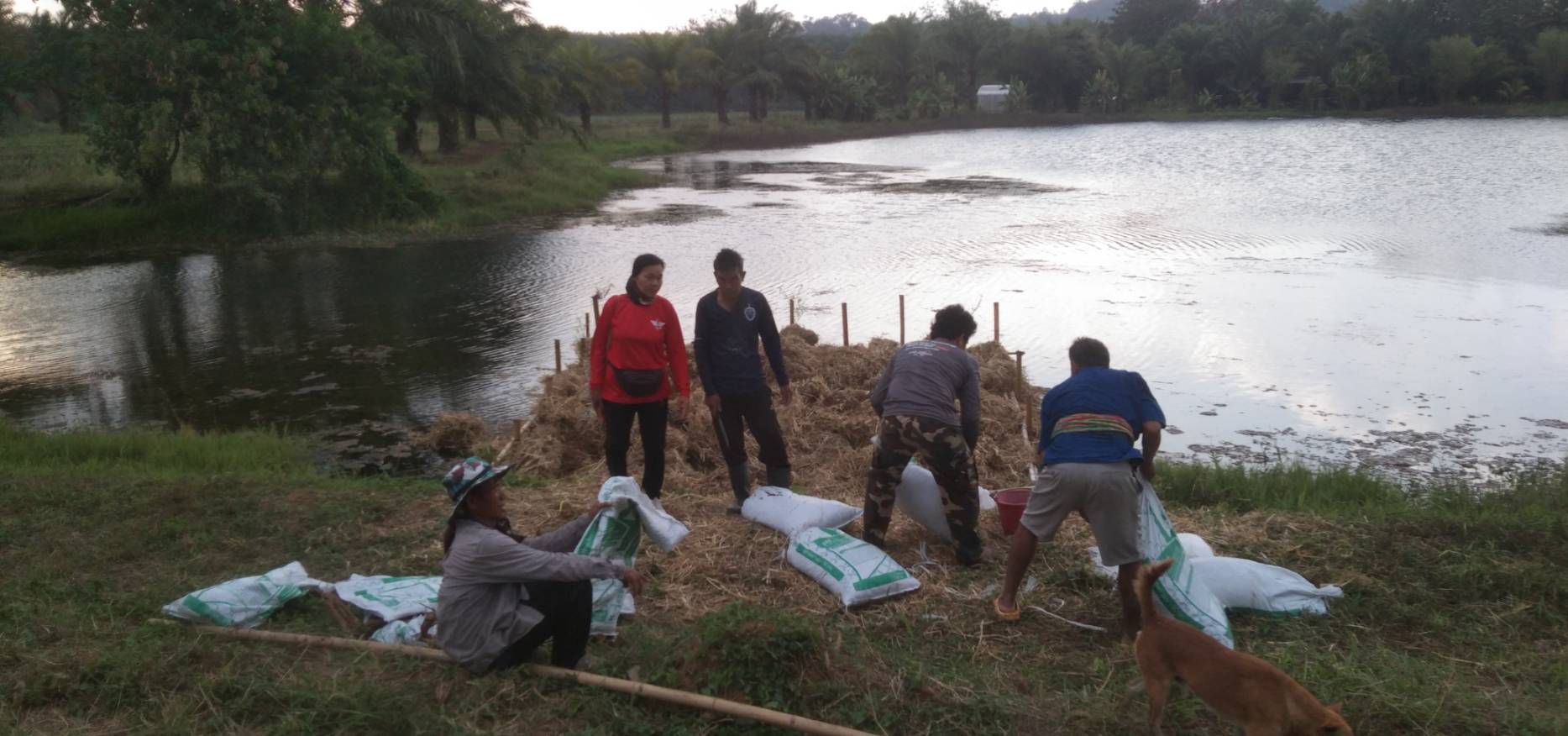 รูป ประกอบบทความ3