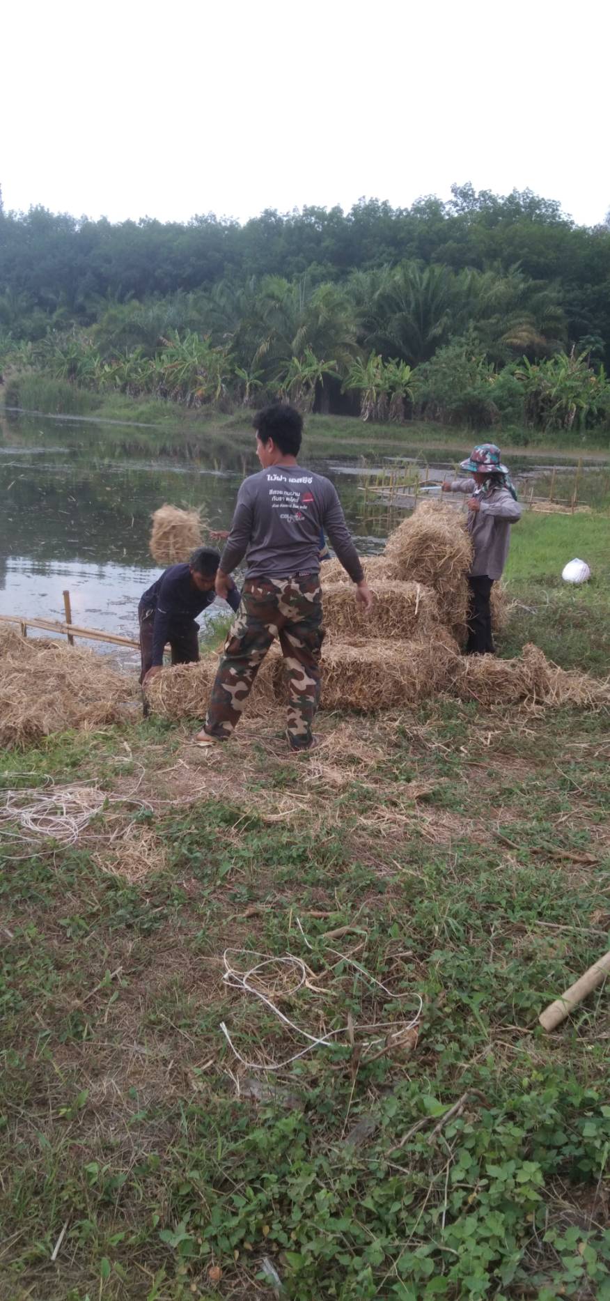 ดำเนินการส่งมอบวัสดุการเกษตร แ