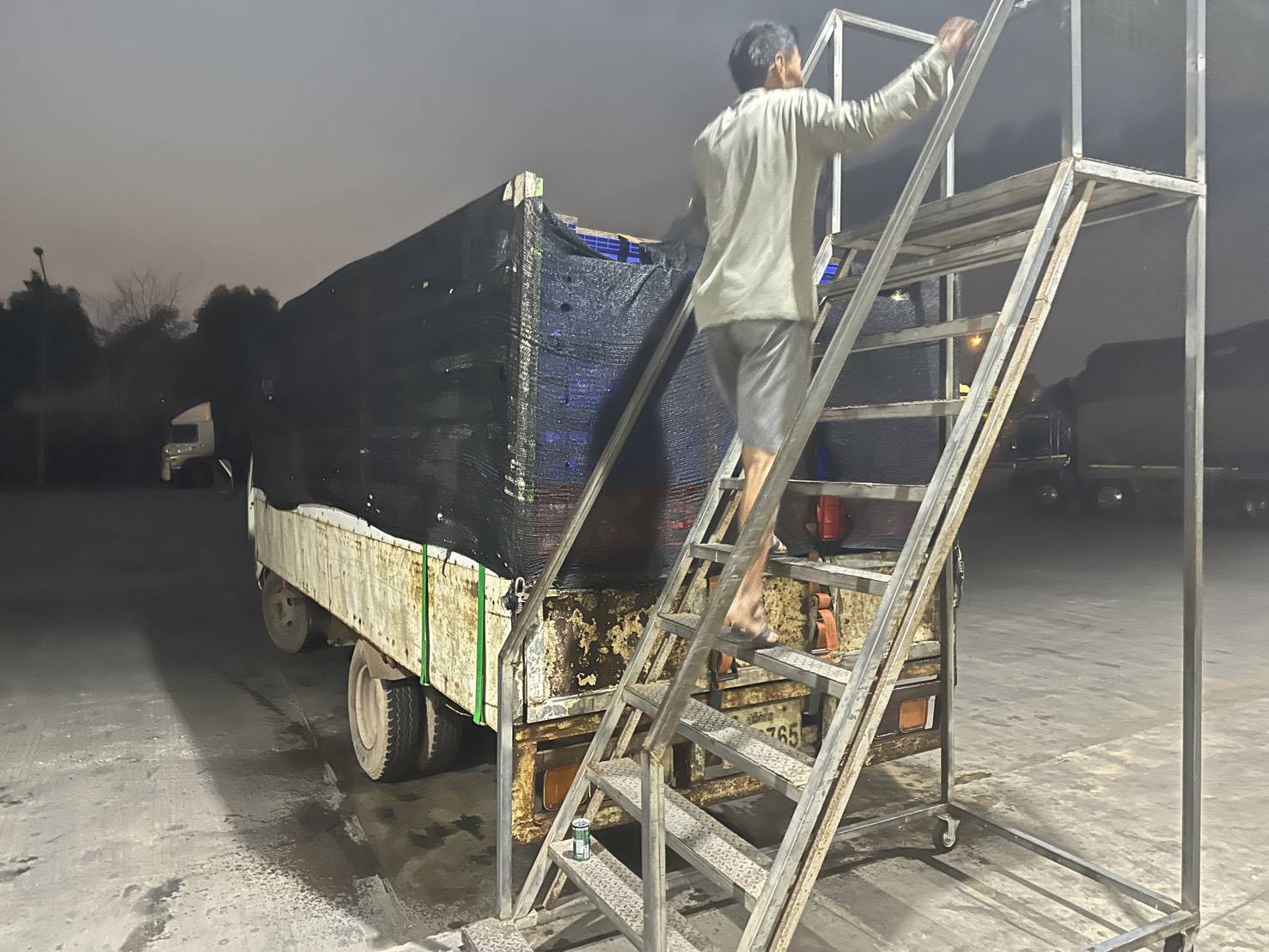 ข่าวกิจกรรม วันที่ 19 มีนาคม 2569 เจ้าหน้าที่ด่านตรวจประมงนครพนม ตรวจสอบสินค้าสัตว์น้ำส่งออกชนิด ปลาดุกแอฟริกา มีชีวิต ณ อาคารตรวจสอบสินค้าและเก็บของกลางด่านศุลกากรนครพนม จ.นครพนม..คลิก