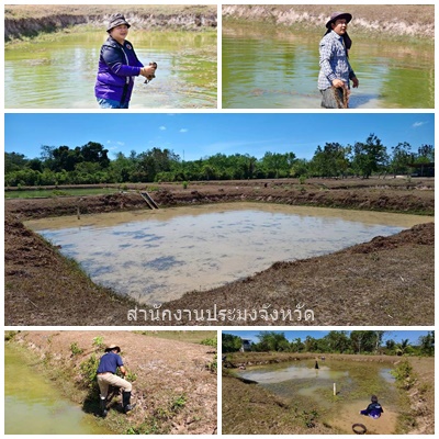 รูป ประกอบบทความ3