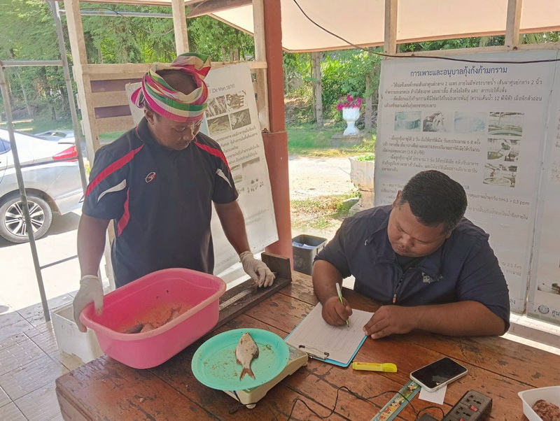 ดำเนินการสำรวจตัวอย่างปลาน้ำจืดมีไข่ ในพื้นที่ทะเลน้อยจังหวัดพัทลุง..คลิก