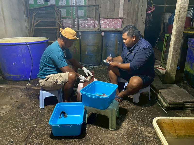 ดำเนินการประเมินสภาวะทรัพยากรสัตว์น้ำ ในพื้นที่ทะเลน้อยจังหวัดพัทลุง..คลิก