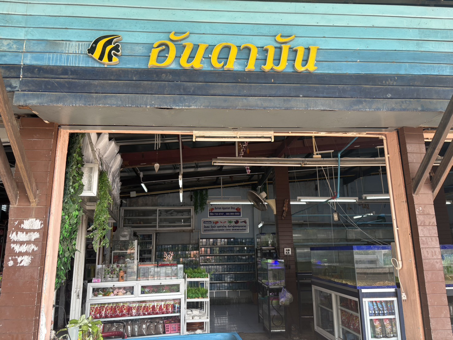ลงพื้นที่ตรวจเยี่ยม ประชาสัมพันธ์ ร้านจำหน่ายปลาสวยงาม