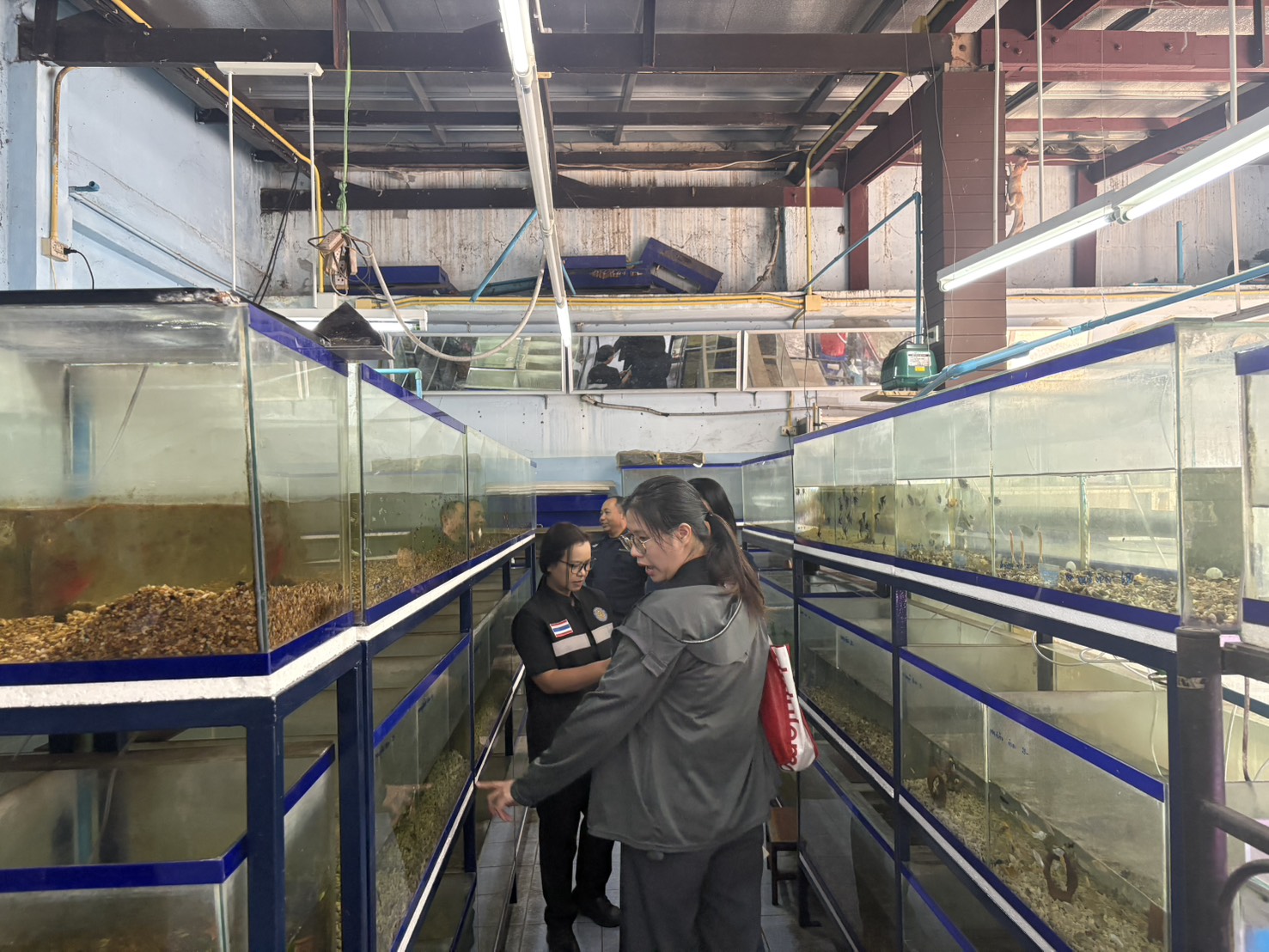 ลงพื้นที่ตรวจเยี่ยม ประชาสัมพันธ์ ร้านจำหน่ายปลาสวยงาม