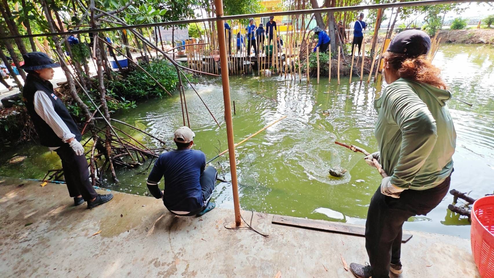 ร่วมโครงการกิจกรรมบรูณาการช่วยเหลือสังคมในการกำจัดปลาหมอคางดำ (ในรูปแบบCSR) ลงแขกลงคลอง..คลิก