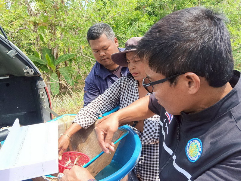 ร่วมปล่อยพันธุ์ปลา ลงสู่แหล่งน้ำบ้านครองชีพ อ.บางแก้ว จ.พัทลุง..คลิก